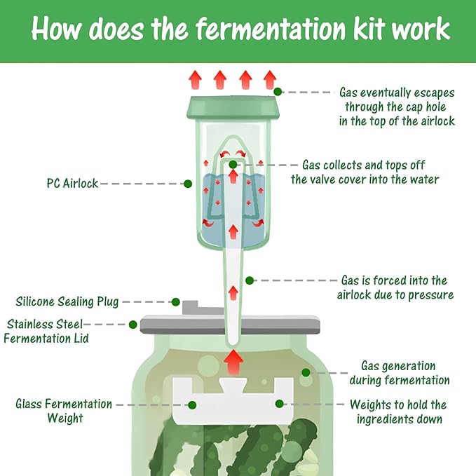 4 Pack Fermentation Kit, Stainless Steel Fermentation Lids and Glass Weights for 86MM Wide Mouth Mason Jars (No Jars)