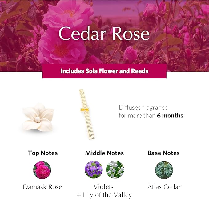 Cedar Rose Holiday PetiteEssence Diffuser, 1.7oz