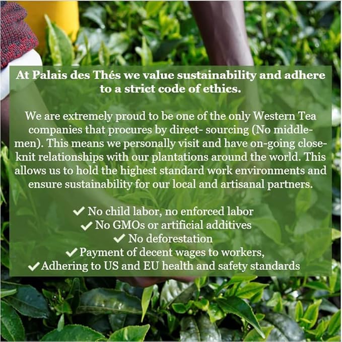 Palais des Thés - Tea Advent Calendar - Holiday Collection | 24 Premium French Delightful Tea Bags | Black, Green, Single Estate, Herbal & Rooibos Teas