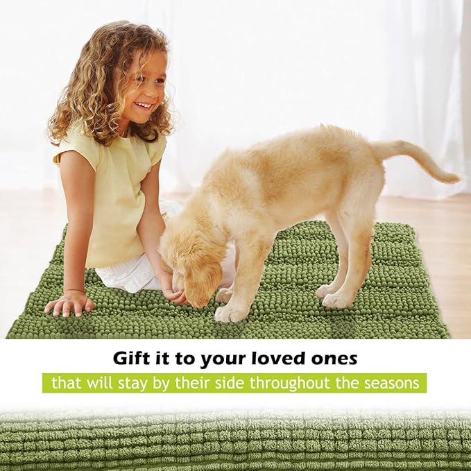 KGORGE Bath Rugs - Soft Large Bathroom Rugs Floor Cover Water Absorbent Bath Mat Quick Drying Chenile Bathtub Shower Carpet for Toilet Door Way Kitchen Kids, Light Green, 60" x 24", 1 Pc