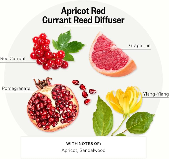 Apotheke Luxury Scented Reed Diffuser for Home, Apricot Red Currant - 6.7 Fl Oz Essential Oil Aromatherapy - 10 Rattan Scent Sticks Room Diffuser - Long-Lasting Fragrance for Bedroom, Home, Bathroom