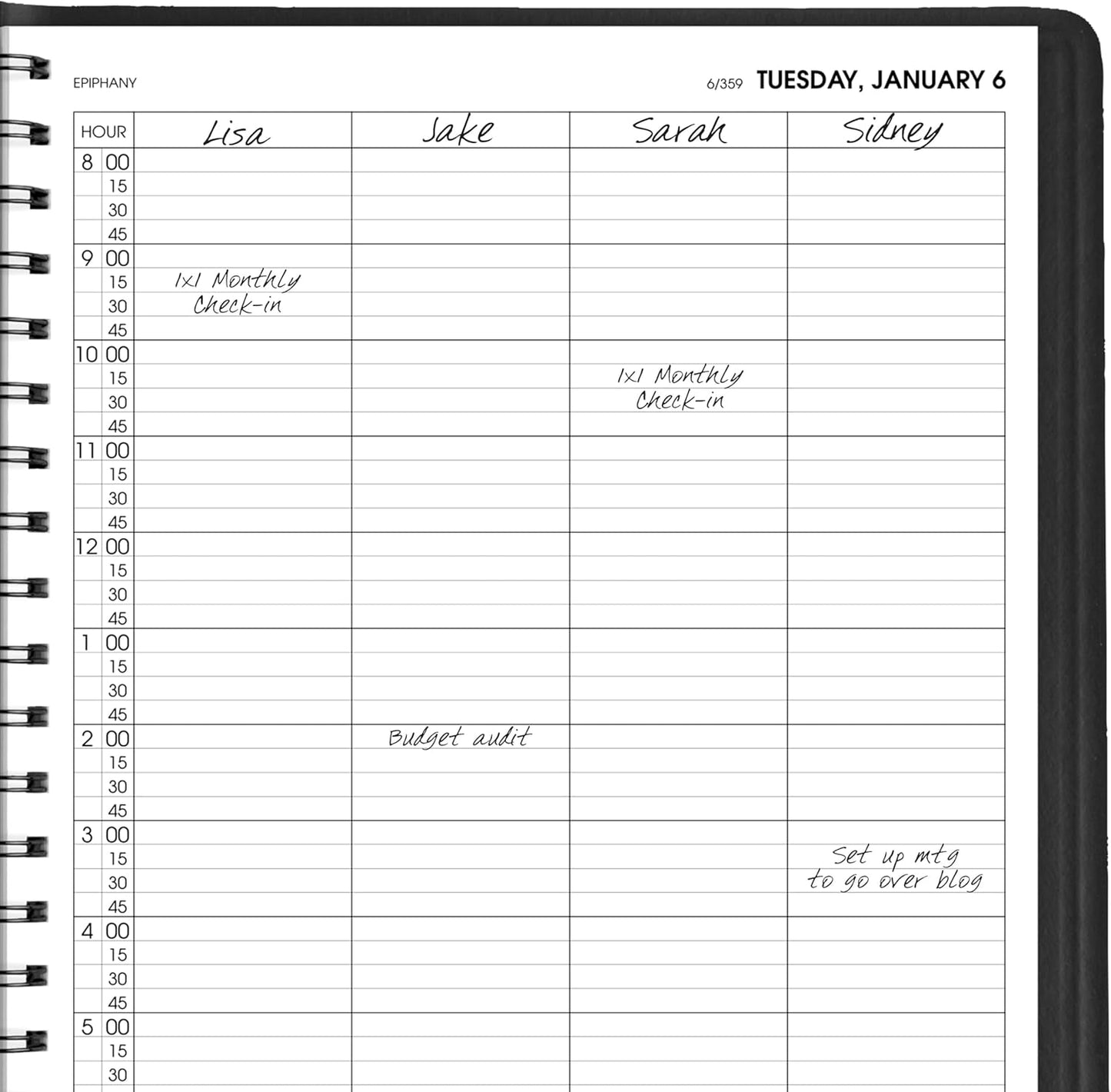 AT-A-GLANCE 2026 Appointment Book Planner, Daily, 8" x 11", Large, Four Person Group, Black (708220526)