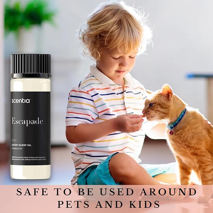 Scentia Hotel Diffuser Oil Inspired by 5-Star Hotel Scent - 20 mL 0.67 fl oz - Aromatherapy Fragrance Oil Inspired by 5 Star Hotel - Escapade, Thanksgiving Gift