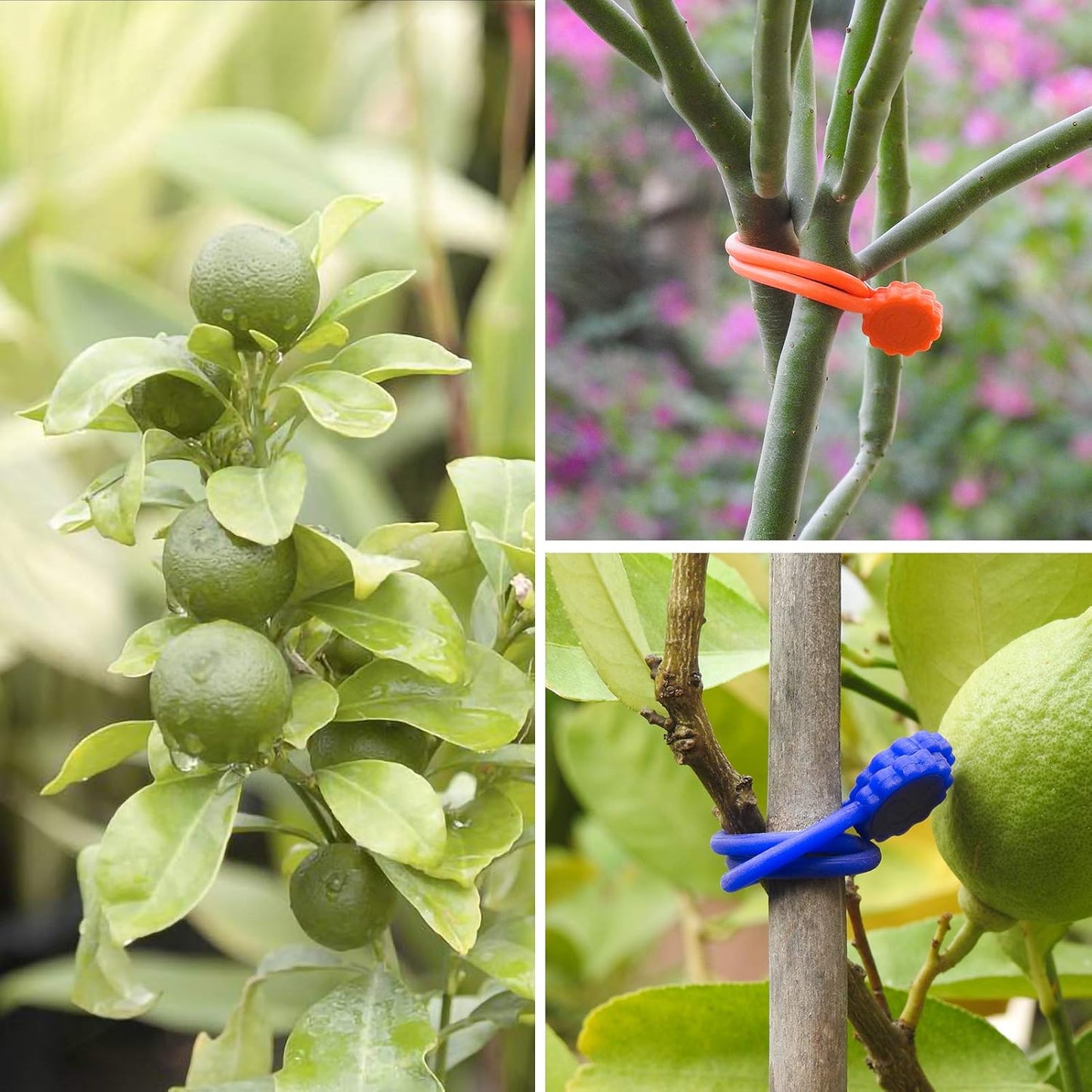 Rich&Ray Silicone Magnetic Cable Ties, Reusable Phone Cord Organizer, Magnetic Twist Ties for Headphone Cables, Charging Cable Organizer, Book Markers, Hanging Stuff or Just for fun, 10 Color-20Pack