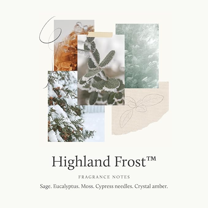 Thymes Petite Oil Reed Diffuser Set – Includes Reed Diffuser Sticks, Fragrance Oil, & Glass Bottle – Luxury Home Decor – Holiday Decor – Winter Scents – Sage-Green (Highland Frost, 4 fl oz)