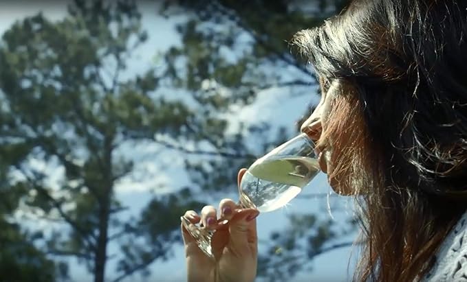 Mead Making Kit - DIY Fermentation- Complete Mead Making Kit to Brew 1 Gallon of Delicious Honeywine with Reusable Equipment from Must Bee Company