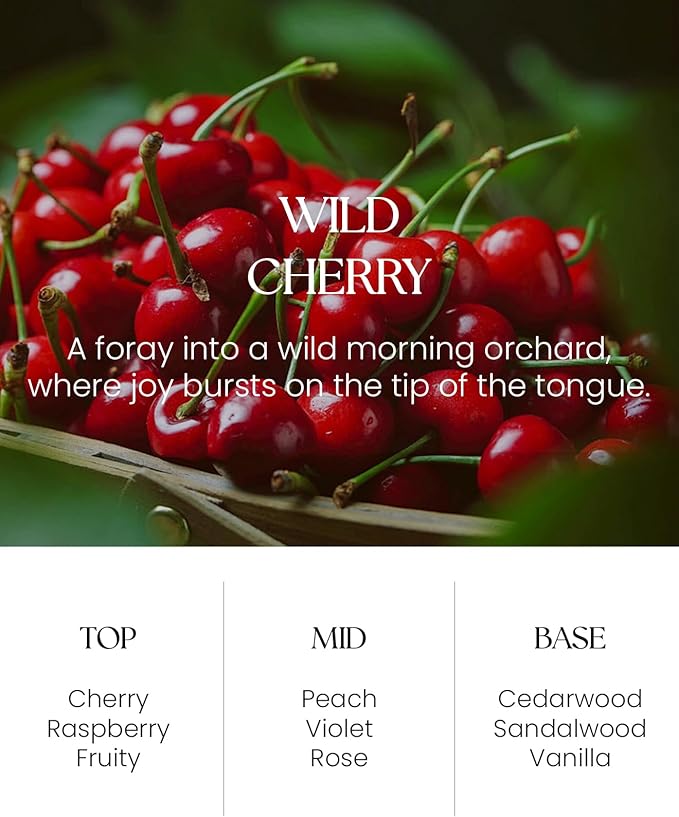 M&SENSE Wild Cherry Reed Diffuser Set - 8.79fl oz Home Fragrance Non-Toxic Natural Bathroom Diffuser with Sticks, Air Freshner Gifts for Bathroom Bedroom Home Decor