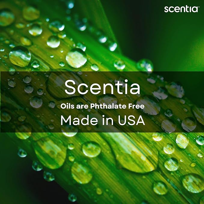 Scentia My Way Hotel Diffuser Oil Inspired by The 1 Hotel Miami Beach- 50 ml 1.69 fl oz - Essential Oil Blend Sandalwood, Cedar & Lemon Notes for Aromatherapy Diffusers Humidifiers, Thanksgiving Gift