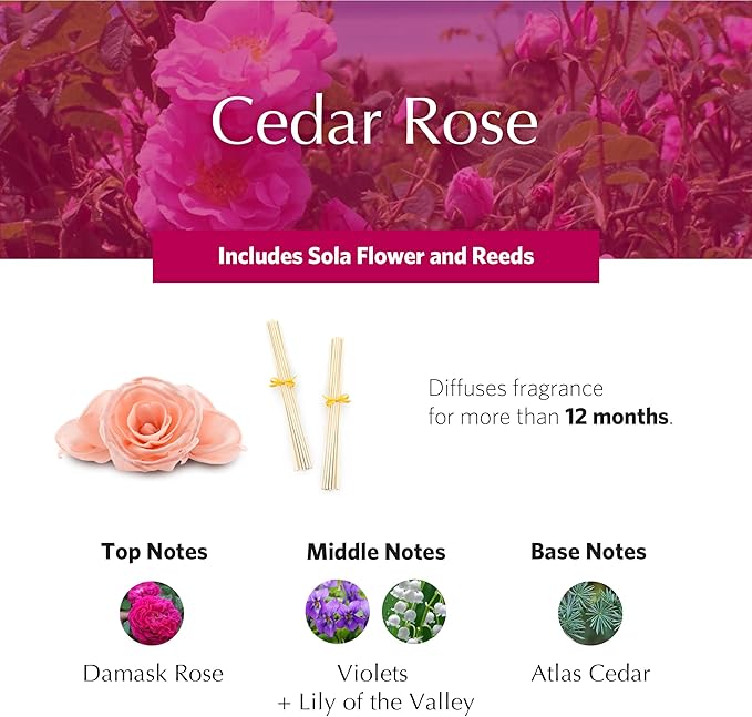 AGRARIA AirEssence Flower and Reed Diffuser Set, Handmade Sola Flower Botanical Home Fragrance Set, Scented Oil Reed Diffuser Gift for All Occasions