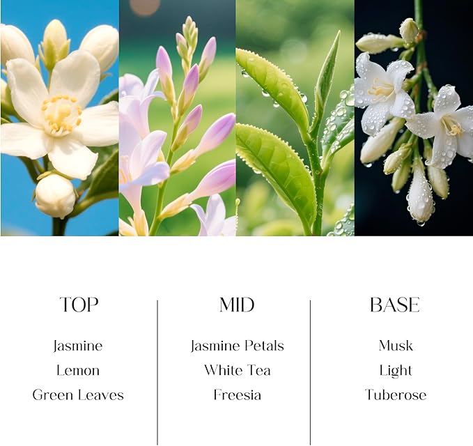 Clesh Reed Diffuser Set, 6.7 oz Jasmine Scented Diffuser with Sticks, Home Fragrance Reed Diffuser for Bathroom Shelf Decor