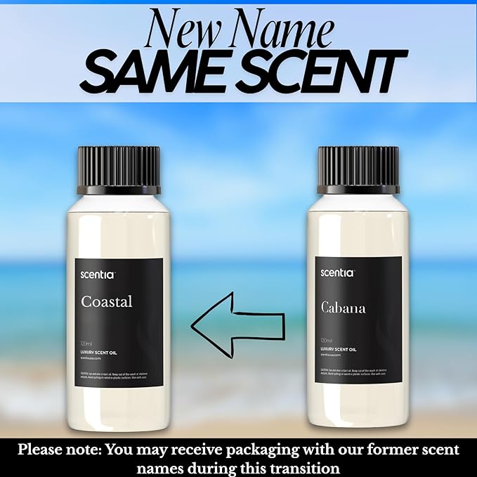 Scentia Hotel Diffuser Oil Inspired by 5-Star Hotel Scent - 120 mL 4.06 fl oz - Essential Oil Blend Botanical Jasmine, Bergamot & Fresh Notes for Aromatherapy Diffusers - Cabana, Thanksgiving Gift