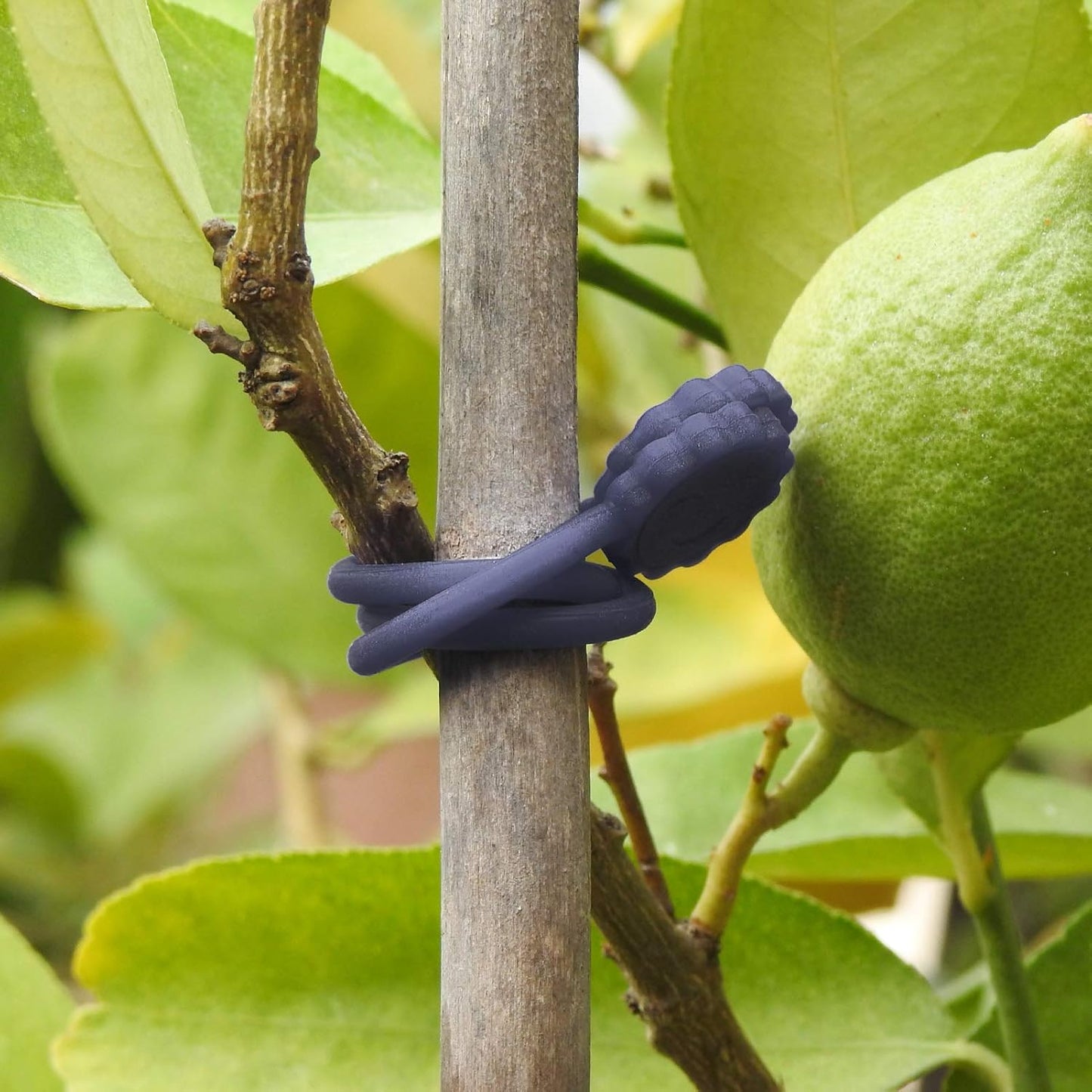 Rich&Ray Silicone Magnetic Twist Ties, Reusable Magnetic Ties for Bundling and Organizing Cable, Hanging Stuff, Kitchen Magnets, Office Magnets or Just for Fun (Gray, 9 pack)