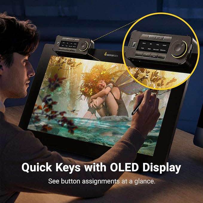 Xencelabs Pen Display 24, Drawing Tablet with 4K Screen Monitor, 99% Adobe RGB Graphic Drawing Display with 40 Customizable Quick Keys, 2 Battery-Free Pens, 8192 Levels Pressure for Win/Mac/Linux