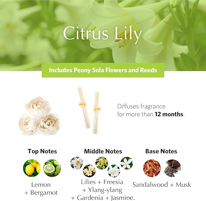 AGRARIA AirEssence Flower and Reed Diffuser Set, Handmade Sola Flower Botanical Home Fragrance Set, Scented Oil Reed Diffuser Gift for All Occasions