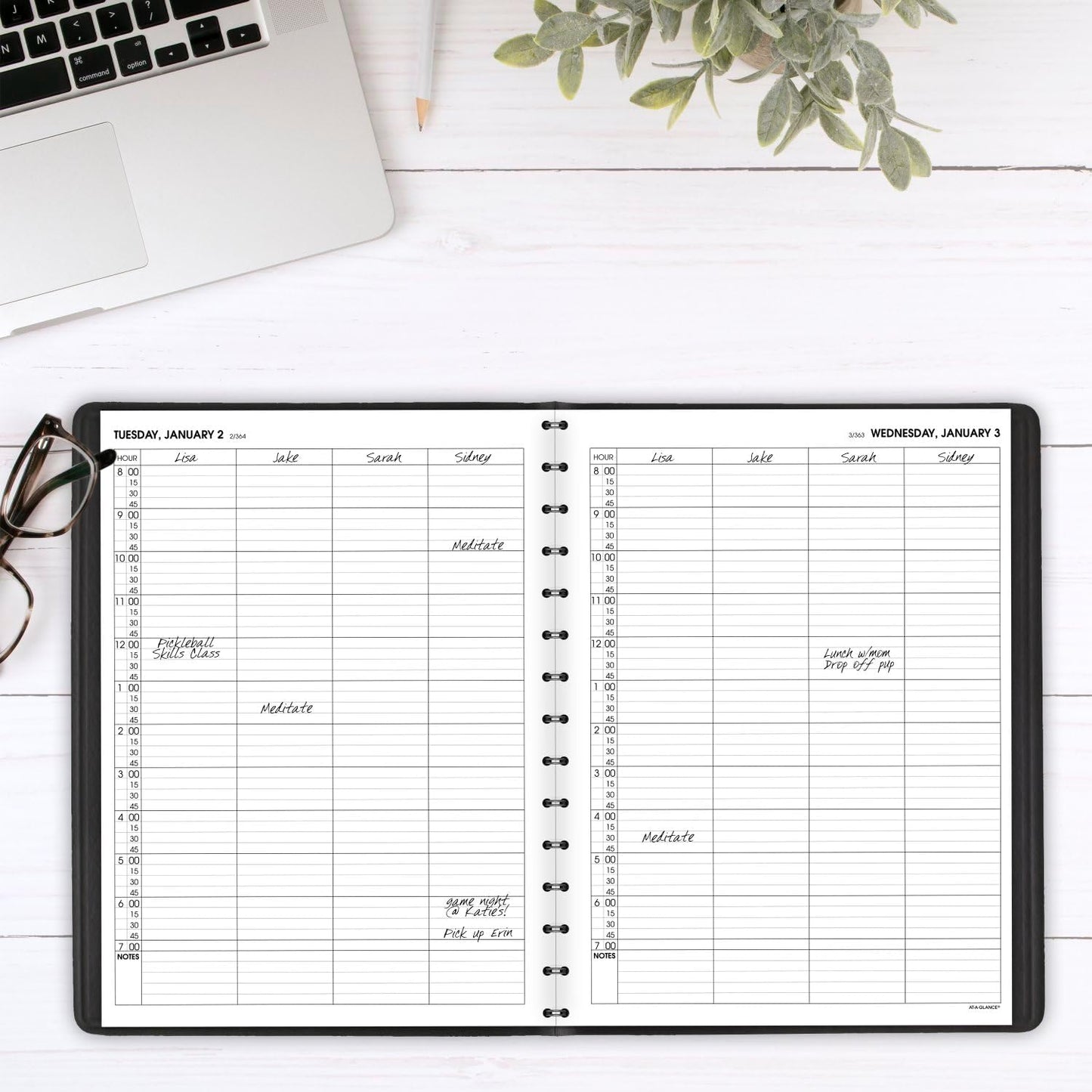 AT-A-GLANCE 2025 Appointment Book Planner, Daily, Four Person Group Planner, 8" x 11", Large, Quarter-Hourly, Black (708220525)