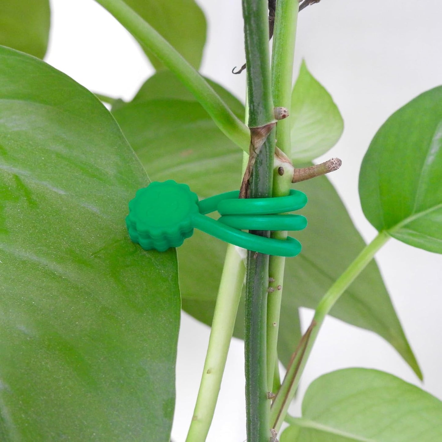 Rich&Ray Silicone Magnetic Twist Ties, Reusable Magnetic Ties for Bundling and Organizing Cable, Holding Stuff, Kitchen Magnets, Office Magnets or Just for Fun (Green, 9 pack)