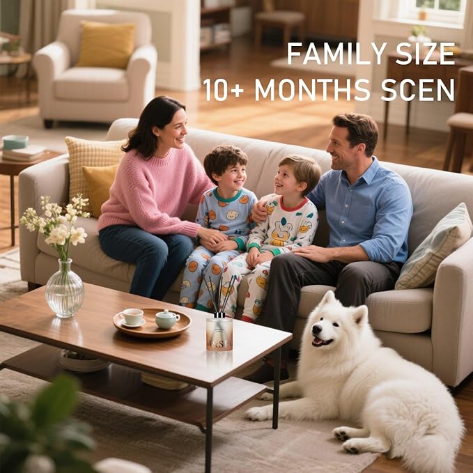 M&SENSE Sandalwood & Vanilla Reed Diffuser Set - 16.9 fl oz Long-Lasting Scent, Non-Toxic Essential Oil Diffuser for Home, Fragrance Diffuser Christmas Housewarming Gift & Bathroom Bedroom Decor