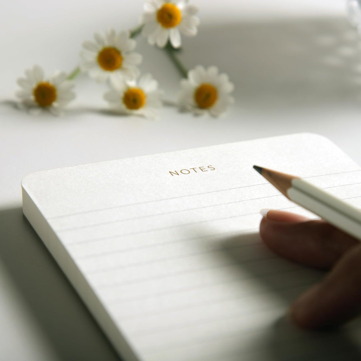 Elegant Desk Notepads for Professionals, Executive's Memo Pads, Minimalist, Gold Foiled, Lined Layout, 3 Pack, 225 Sheets Total (75 Each), 6.3" x 3.9”, 80 GSM, Eco-friendly, FSC™ Certified