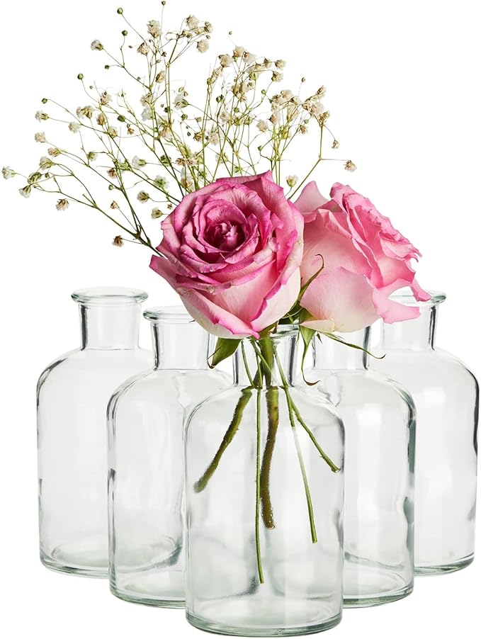 Farmlyn Creek Narrow Jar Vases - 2.8 in x 5 in, 7.5 oz, 6 Pack, Clear Glass - Apothecary-Style Jars & Glass Bottle Vases for Propagation & Mini Decorative Bottles