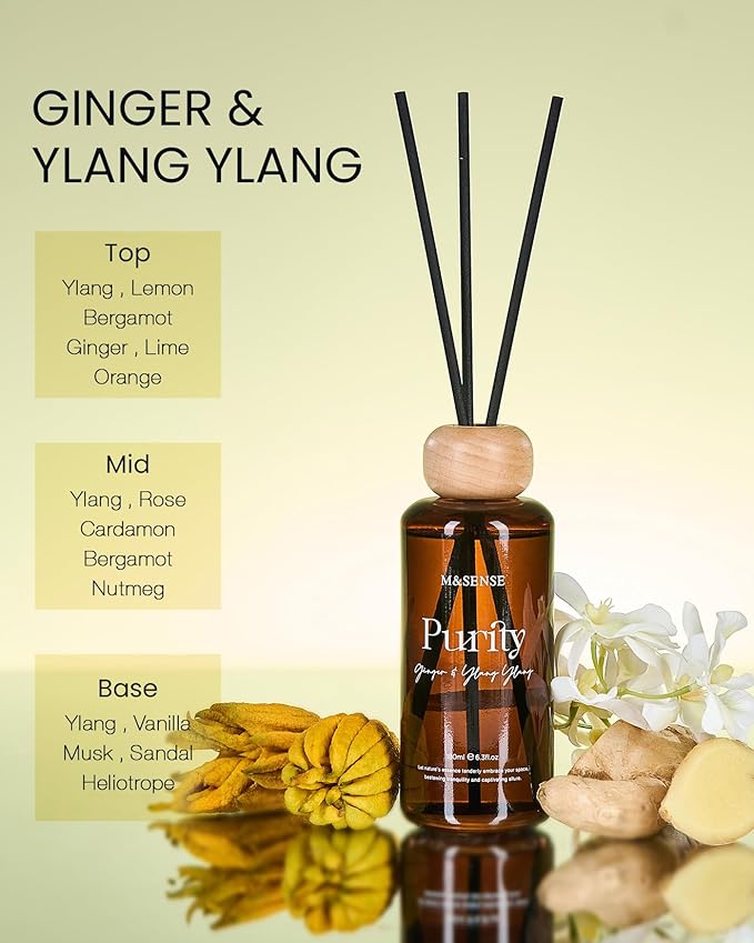 M&SENSE Ginger Ylang Ylang Scent Diffuser: 6.3 fl oz Lime & Lemon Aroma Set with Light & Subtle Fragrance, Long-Lasting Non-Toxic Natural Essential Oil Diffuser for Office Shelf Decor Small Spaces ﻿