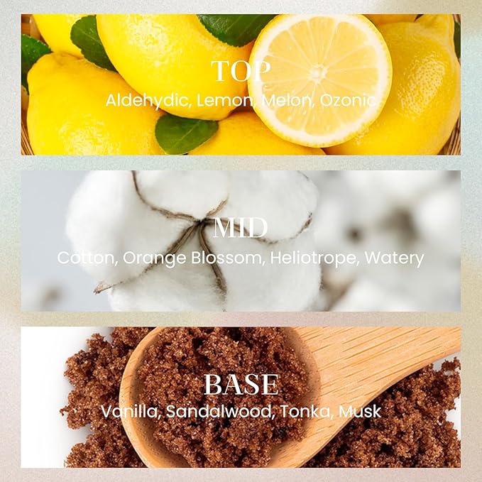 M&SENSE 6.3 oz Large Reed Diffuser Set | Sea Island Cotton Scent Oil Diffuser with Sticks | Hotel Collection Non-Toxic Essential Oil |for Bedroom Bathroom Living Room