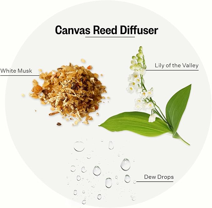 Apotheke Luxury Scented Reed Diffuser for Home, Canvas - 6.7 Fl Oz Essential Oil Aromatherapy - 10 Rattan Scent Sticks Room Diffuser - Long-Lasting Fragrance for Bedroom, Home, Bathroom