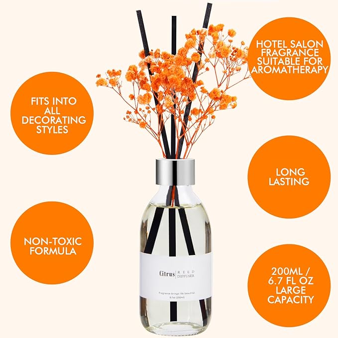 Clesh Reed Diffuser Set, 6.7 oz Citrus Scented Diffuser with Sticks, Home Fragrance Reed Diffuser for Bathroom Shelf Decor