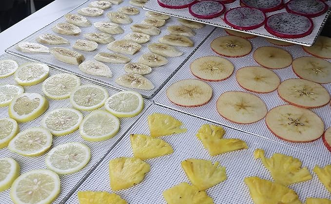 Mesh Silicone Dehydrator Sheets, 10x10 in 10 Pcs/Sets for Food Dehydrator & Freeze Dryer (10x10 INCH Mesh Silicone Dehtdrator Sheet)