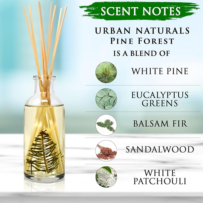 Urban Naturals Pine Forest Reed Diffuser Set - White Pine Needles, Eucalyptus and Sandalwood - Christmas Tree Scent - Holiday Decor with Real Pine Branches