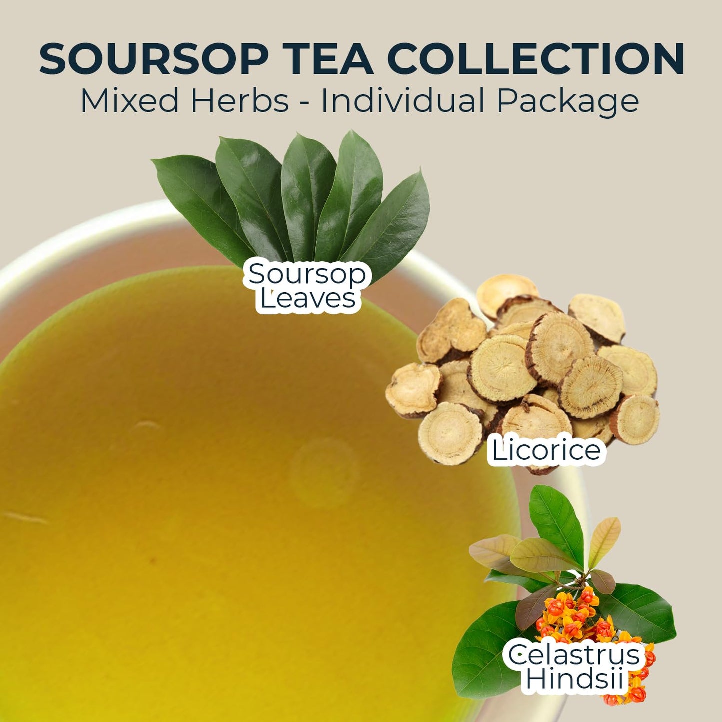 Soursop Leaf Tea with Celastrus Hindsii & Licorice - 55 Count (+5 Tea Bags) - 4.44 oz, Bamboo Tong Include, Re-Steep Corn Based Tea Bags, Natural Herbal Tea for Comfort Relax