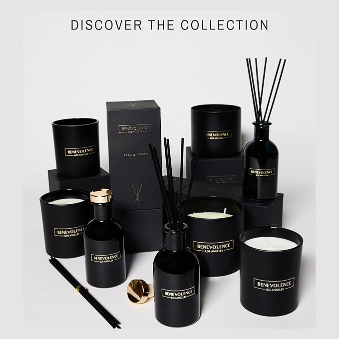 Benevolence LA Reed Diffusers for Home, Lavender & Eucalyptus Relaxing Fragrance | Aromatherapy Reed Diffuser Sticks with Gift Box, Scented Sticks for Bathroom | Home Décor