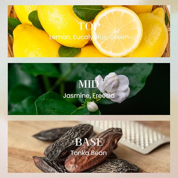 M&SENSE 10.14 oz Large Reed Diffuser Set | White Tea & Sage Scent Oil Diffuser with Sticks | Hotel Collection Non-Toxic Essential Oil |for Bedroom Bathroom Living Room