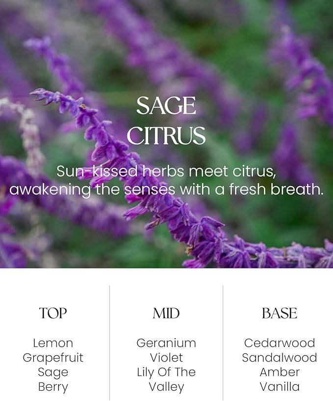 M&SENSE Sage Citrus Reed Diffuser Set - 8.79fl oz Home Fragrance Non-Toxic Essential Oil Diffuser with Sticks, Air Freshner Gifts with Long Lasting Fragrance