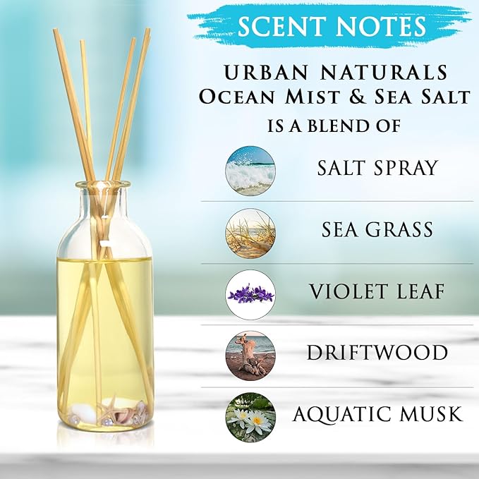 Urban Naturals Ocean Mist & Sea Salt Reed Diffuser Set | Made with Essential Oils & Real Seashells | Decorative Air Freshener Room Diffuser