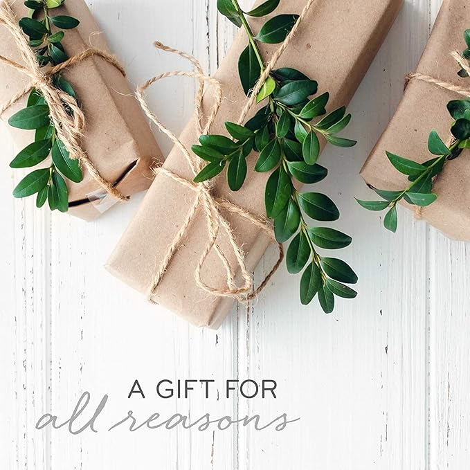 Thymes Frasier Fir Reed Diffuser Set – Includes Reeds, Fragrance Oil, and Frosted Glass Bottle – Fragrance Oil Diffuser – Room Fresheners – Luxury Home Decor – Gold (Gilded, 4 fl oz)