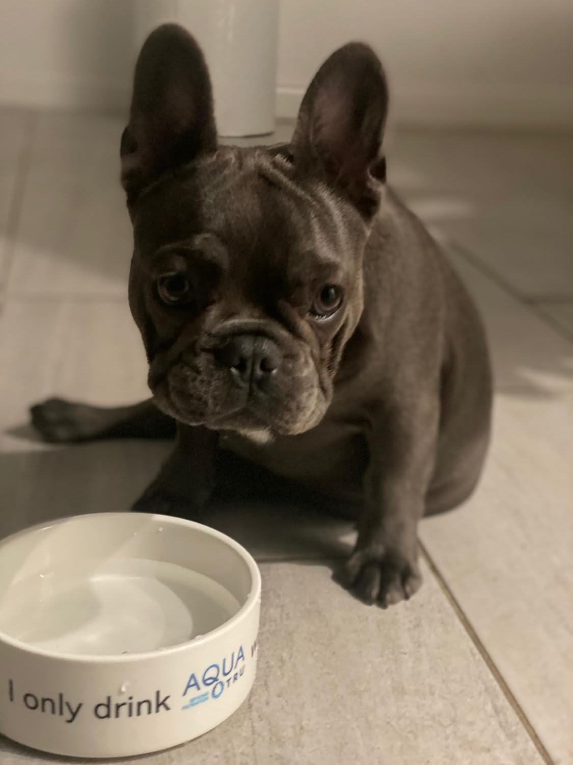 AquaTru Carafe Smart Countertop Water Purifier | App-Connected 4-Stage Reverse Osmosis System with Glass Carafe Removes Forever Chemicals, Lead & Fluoride | Track Filter Life | No Plumbing