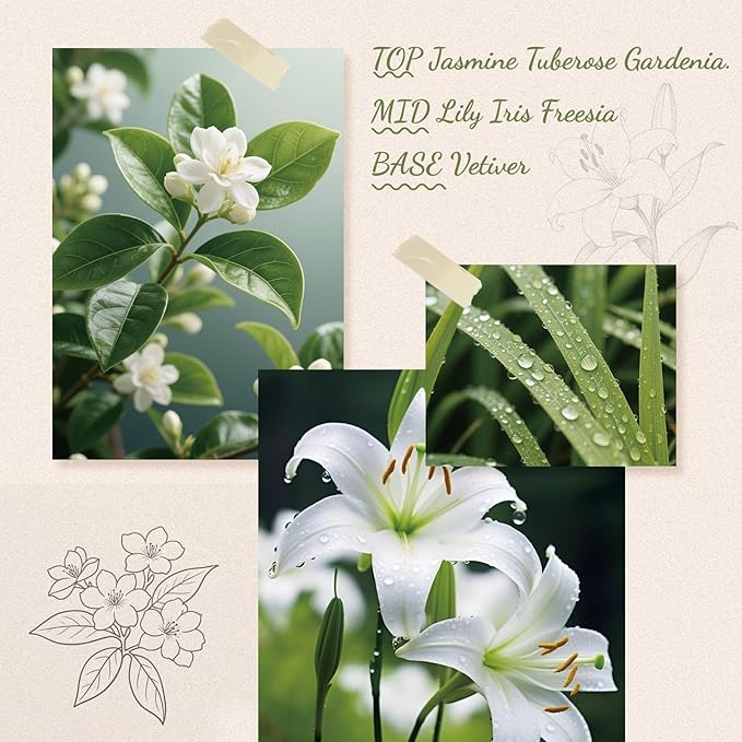 Reed Diffuser, 6.09 oz Jasmine Lily Scent Diffuser with Sticks & Dried Flowers, 120 Days Long Lasting reed diffusers for home, Elegant fragrance for Bathroom Bedroom Office Decor, Air fresh