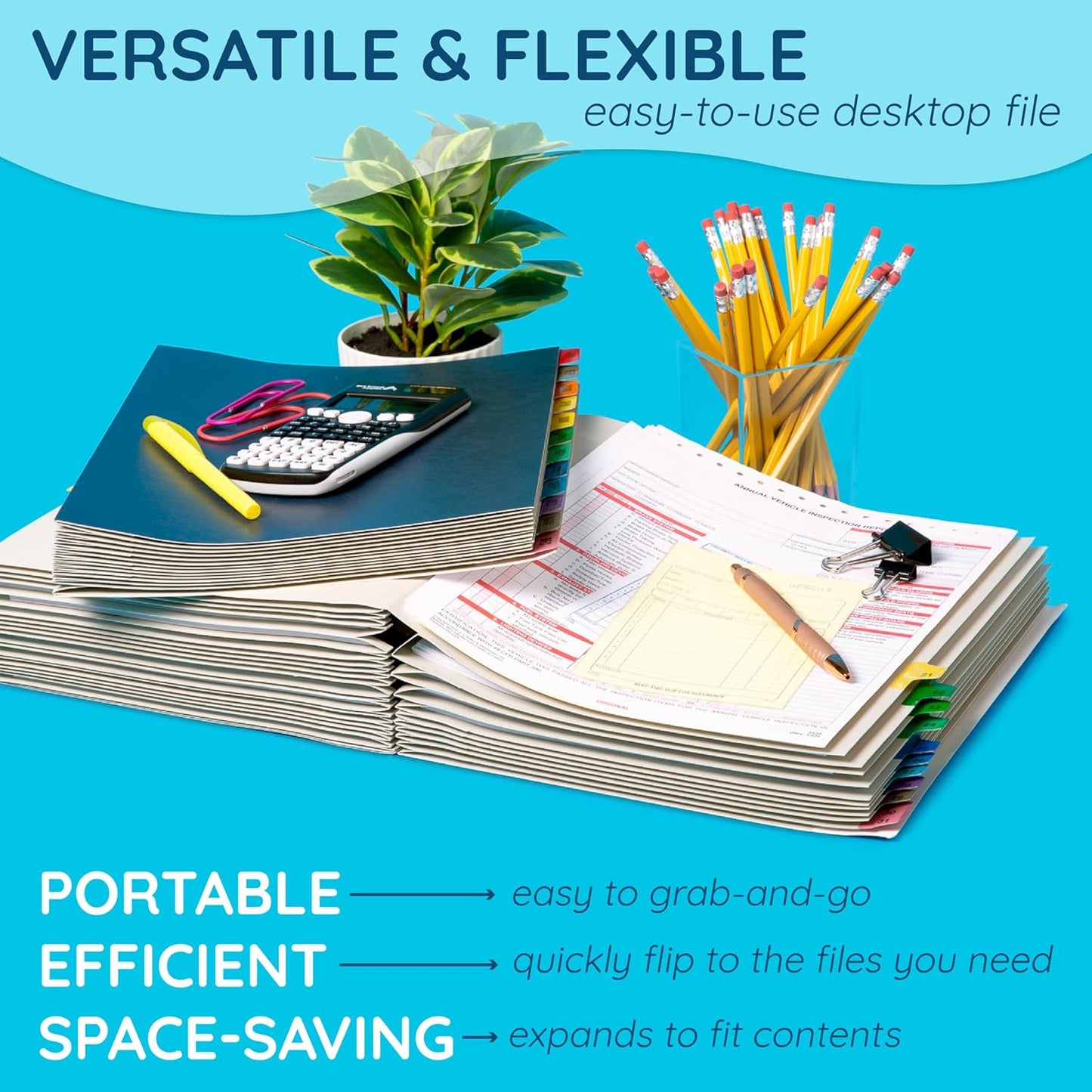 Blue Summit Expandable Monthly File Organizer, Tickler File Combo 31 Daily and 12 Monthly Tabs, Letter Size 12 Month Folder Organizer for Invoices and Documents