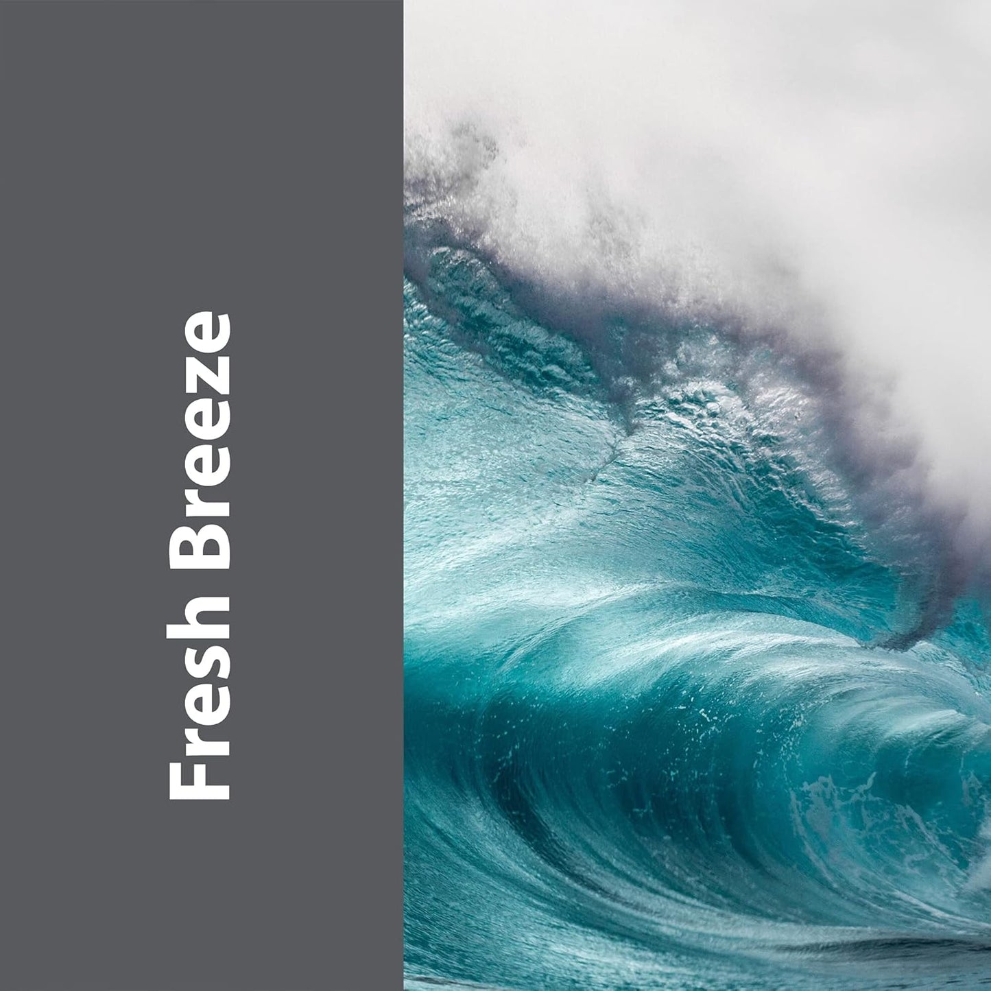 Pro-Grade All-Purpose Cleaner & Deodorizer - Deep Cleaning & Odor Eliminating Formula For Professional & Home Surfaces - 32 Ounce Concentrate - Fresh Breeze