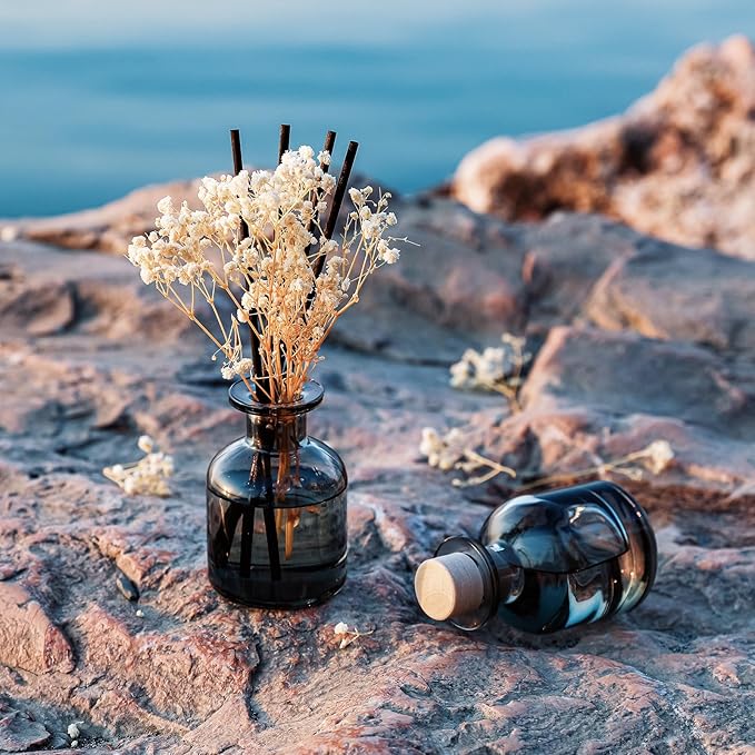 Brakula 2 Pack Reed Diffuser, Bamboo + Lavender Vanilla (3.38 fl oz Each Pack), Home Fragrance with 12 Sticks, Shelf Decor, Reed diffusers for Home