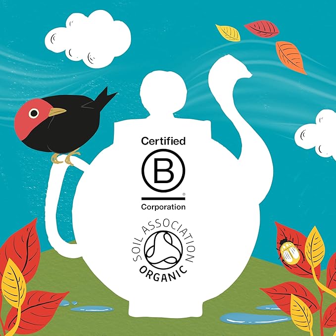 Clipper Tea, English Breakfast, Fairtrade, Organic, Plant-Based, Caffeinated British Tea, 6 Pack, 120 Unbleached Tea Bags