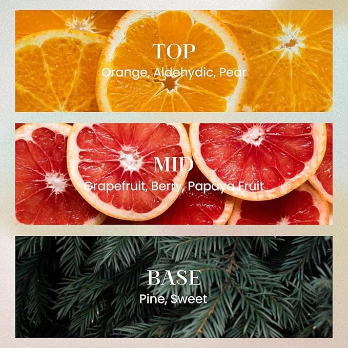 M&SENSE 6.3 oz Large Reed Diffuser Set | Orange Goji Scent Oil Diffuser with Sticks | Hotel Collection Non-Toxic Essential Oil |for Bedroom Bathroom Living Room