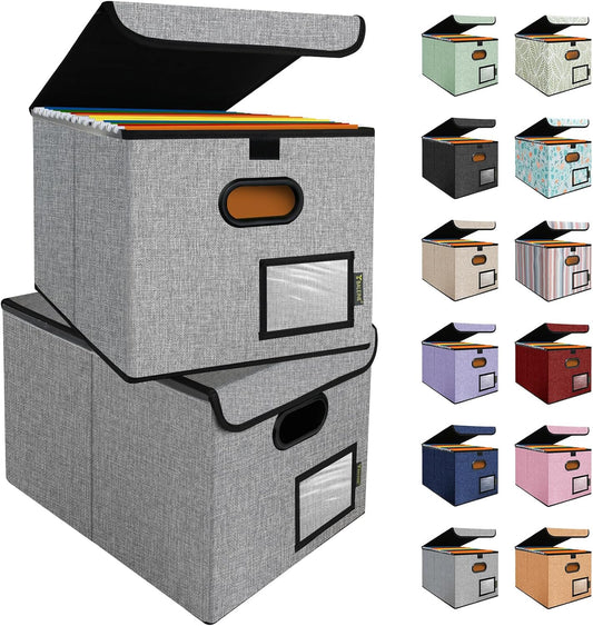 BALEINE File Organizer Box with Lid, Collapsible File Folder Organizer with Plastic Slide, Hanging File Folder Box for Office Document Storage (2 Pack, Grey)