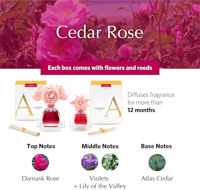 AGRARIA AirEssence & PetiteEssence Flower and Reed Diffuser Set, Luxury Home Fragrance Set, Scented Oil Reed Diffuser Gift for All Occasions