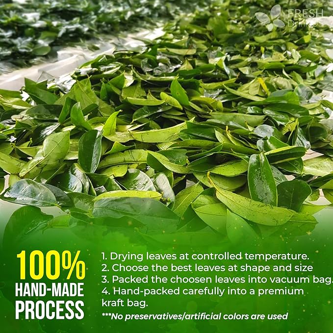 FreshDrinkUS, 75+ Premium Soursop Graviola Dried Leaves Tea, Natural Whole Leaves, Wildcrafted, Hoja De Guanabana, Soursop/Guanabana/Graviola Tea, No Sugar/Gluten/Caffeine/Non GMO, Vegan