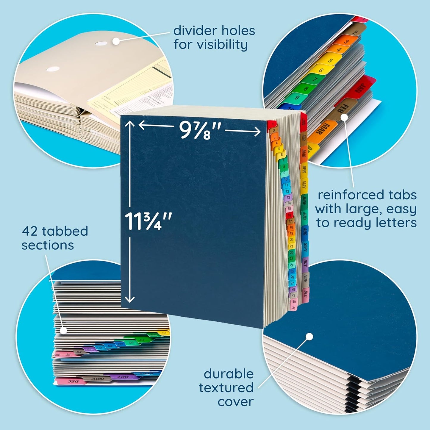 Blue Summit Expandable Monthly File Organizer, Tickler File Combo 31 Daily and 12 Monthly Tabs, Letter Size 12 Month Folder Organizer for Invoices and Documents