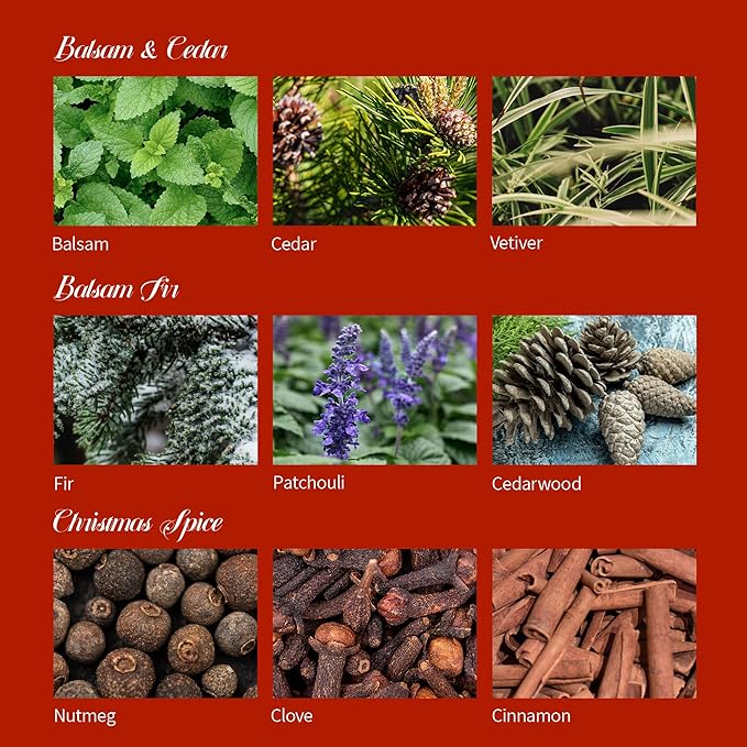 Airkeep Reed Diffuser Set of 3,Balsam & Cedar Balsam & Fir Christmas Spice Oil Reed Diffusers for Bedroom Living Room Office Aromatherapy Oil Reed Diffuser for Gift 50ml x 3