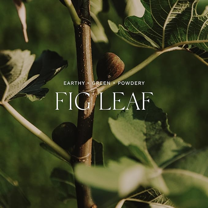 Antica Farmacista Home Ambiance Diffuser - Long-Lasting Reed Scent Diffuser - Luxury Room Freshener Gift - Fig Leaf, 8.45 fl oz