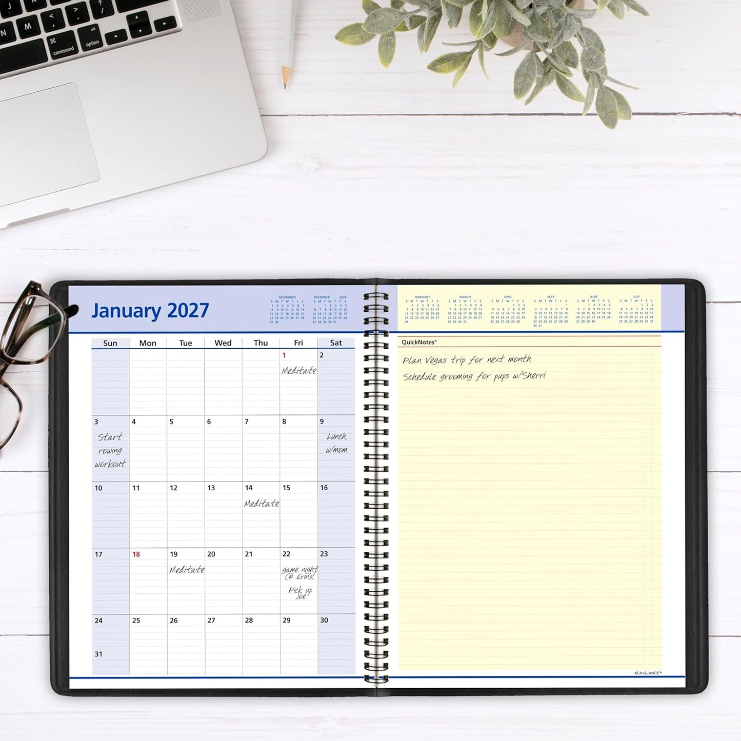 AT-A-GLANCE 2026 Appointment Book Planner, Weekly & Monthly, 8-1/4" x 11", Large, QuickNotes, Black (769500526)