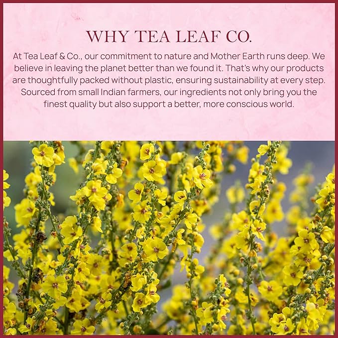 Tealeaf & Co. Mullein Leaf Tea Blended with Fresh Herbs - Pure Herbal Tea Bags with Mullein Leaf Extract - Flavored Herbal Blend - Low Caffeine - Gluten Free - 50 Teabags
